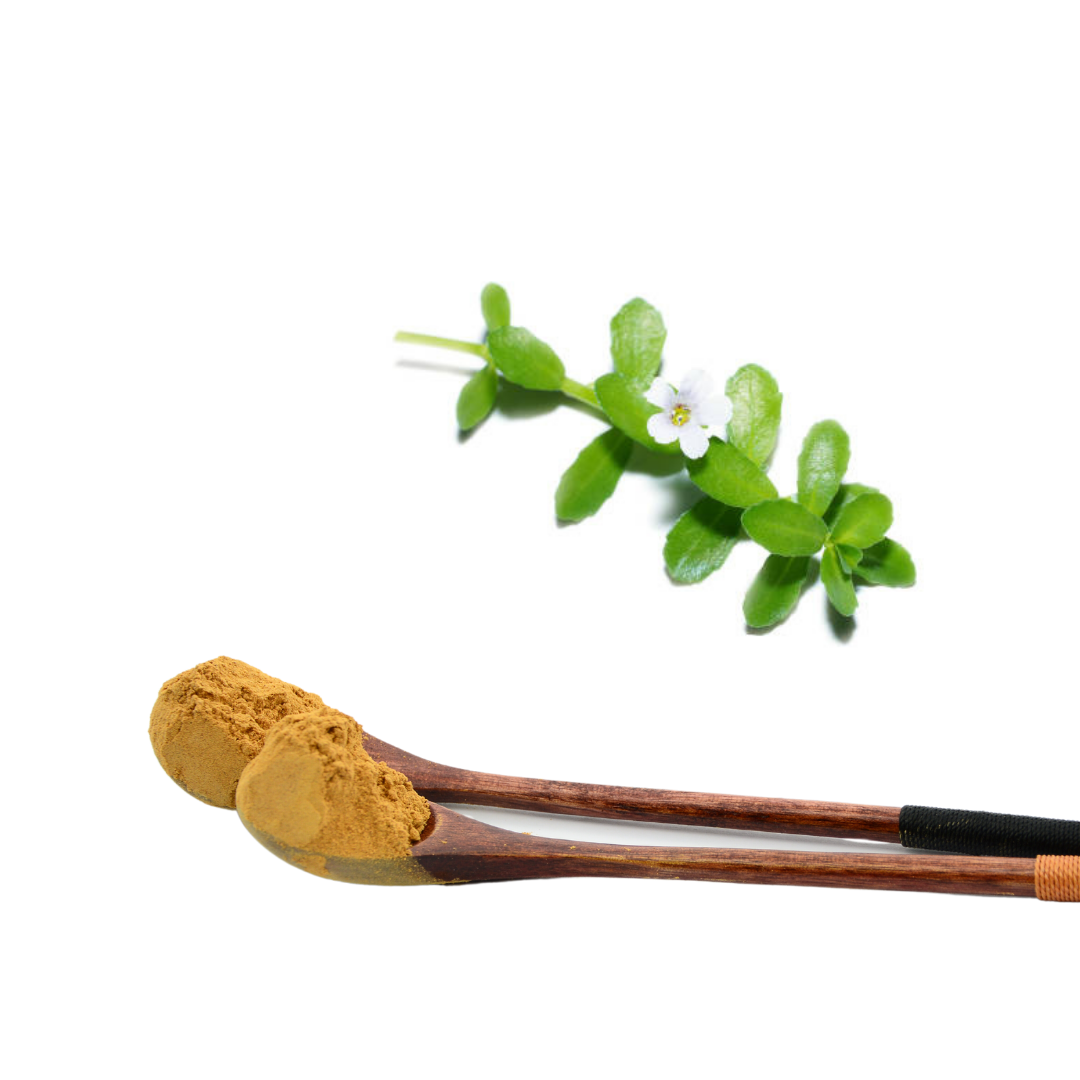 Bacopa Monnieri Extract